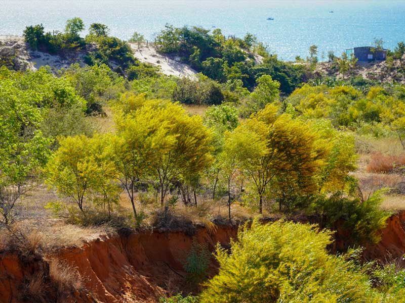 LÀM GÌ Ở NÀO PHAN THIẾT VỚI TOP 10 ĐỊA ĐIỂM CHECK IN - Đặc Sản Làng Chài Cổ