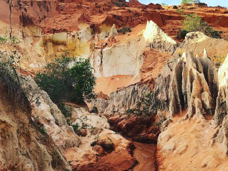 LÀM GÌ Ở NÀO PHAN THIẾT VỚI TOP 10 ĐỊA ĐIỂM CHECK IN - Đặc Sản Làng Chài Cổ