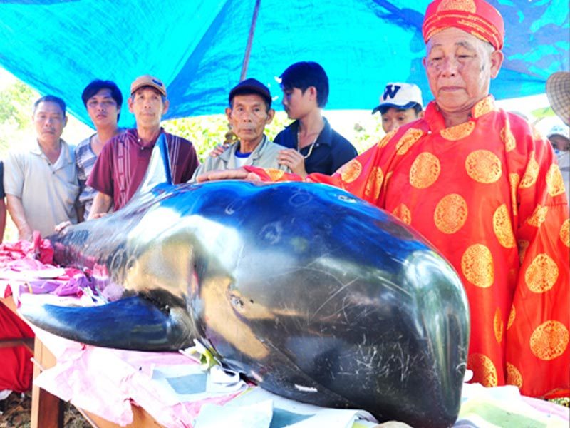 Dinh Vạn Thủy Tú Bình Thuận có gì thú vị?