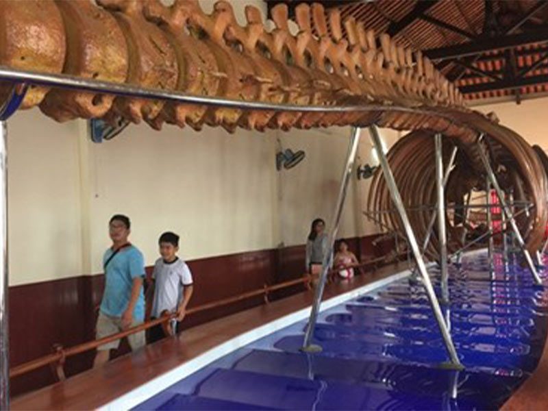 Dinh Vạn Thủy Tú Bình Thuận có gì thú vị?