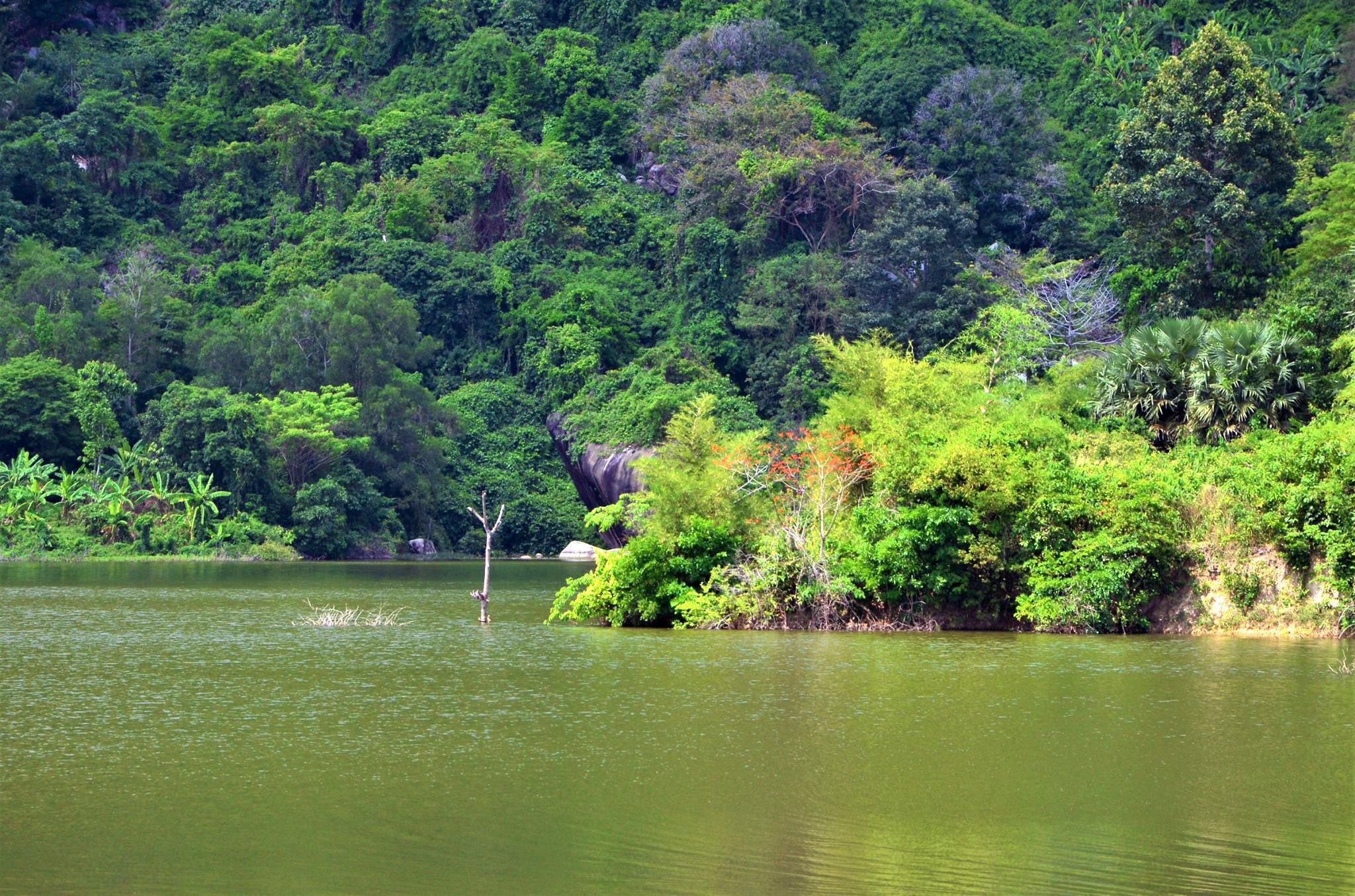 Review Hồ Ô Thum Tri Tôn - An Giang, Ở Đâu, Địa Chỉ, Món Cơm Gà Cháy Nổi Tiếng 2021 19 Review Hồ Ô Thum Tri Tôn - An Giang, Ở Đâu, Địa Chỉ, Món Gà Đốt Trứ Danh 2021 - Review Kinh Nghiệm Du Lịch Tham Quan Đi Phượt Việt Nam