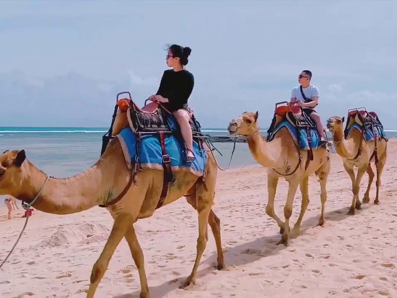 KHÁM PHÁ "BÀU TRÀNG" Tiêu Xa Mạc Quên lối về Mũi Né Phan Thiết BÌNH THUẬN - Đặc Sản Làng Chài Cổ