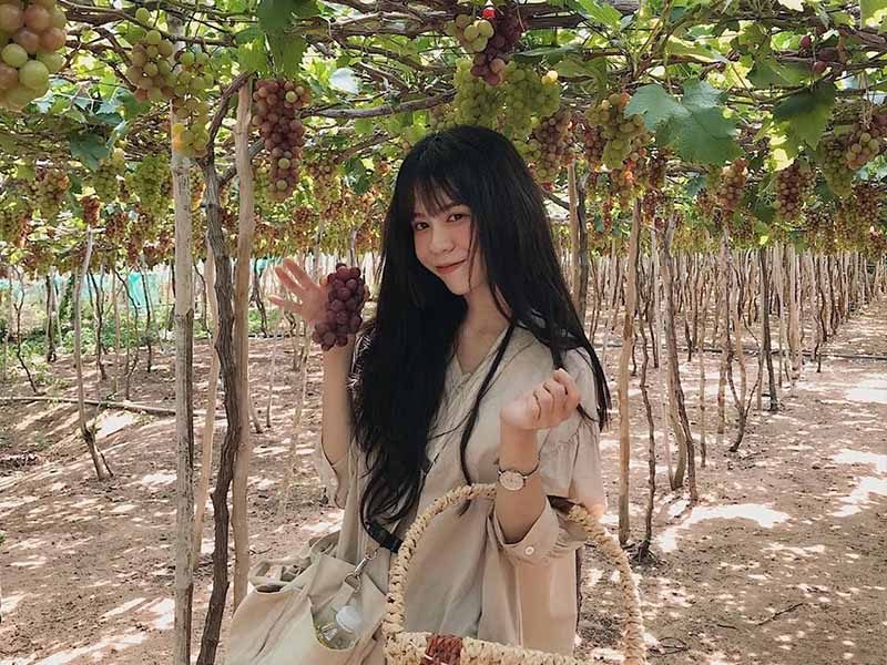 Tham quan vườn nho Phan Thiết SIÊU CHILL