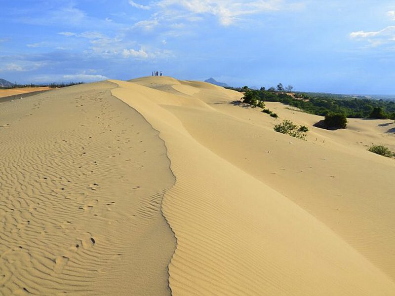 TRƯỢT CÁT Mũi Né TRẢI NGHIỆM HẤP DẪN VÀ THÚ VỊ KHÔNG THỂ BỎ LỠ - Đặc Sản Làng Chài Xưa