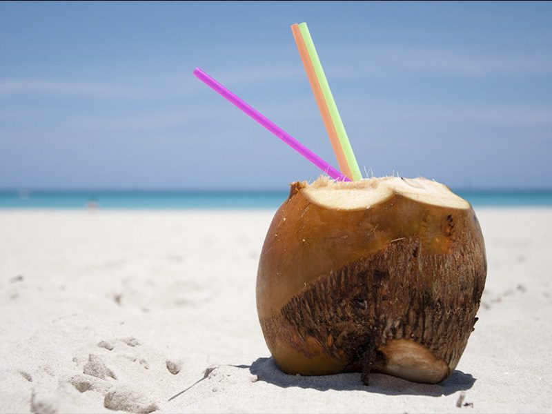 TRƯỢT CÁT Mũi Né TRẢI NGHIỆM HẤP DẪN VÀ THÚ VỊ KHÔNG THỂ BỎ LỠ - Đặc Sản Làng Chài Xưa