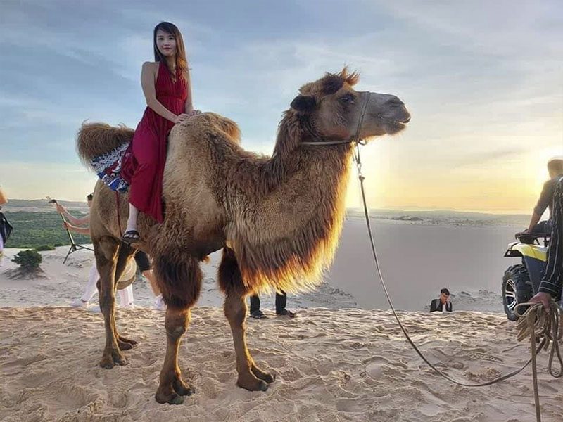 TRƯỢT CÁT Mũi Né TRẢI NGHIỆM HẤP DẪN VÀ THÚ VỊ KHÔNG THỂ BỎ LỠ - Đặc Sản Làng Chài Xưa