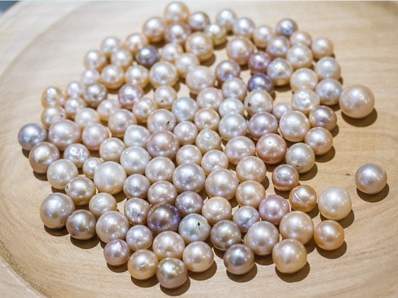 TRƯỢT CÁT Mũi Né TRẢI NGHIỆM HẤP DẪN VÀ THÚ VỊ KHÔNG THỂ BỎ LỠ - Đặc Sản Làng Chài Xưa