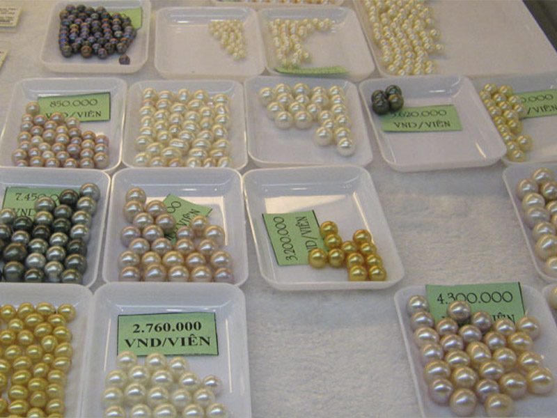 TRƯỢT CÁT Mũi Né TRẢI NGHIỆM HẤP DẪN VÀ THÚ VỊ KHÔNG THỂ BỎ LỠ - Đặc Sản Làng Chài Xưa