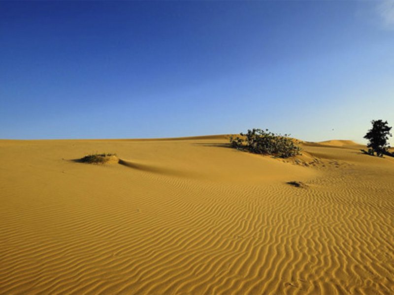 TRƯỢT CÁT Mũi Né TRẢI NGHIỆM HẤP DẪN VÀ THÚ VỊ KHÔNG THỂ BỎ LỠ - Đặc Sản Làng Chài Xưa