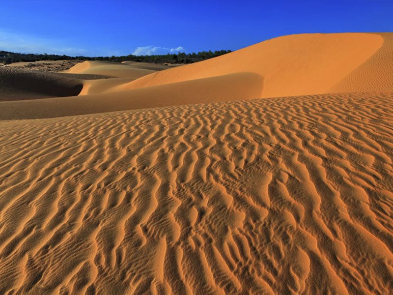TRƯỢT CÁT Mũi Né TRẢI NGHIỆM HẤP DẪN VÀ THÚ VỊ KHÔNG THỂ BỎ LỠ - Đặc Sản Làng Chài Xưa