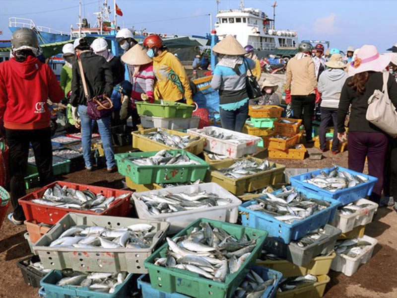 BẠN ĐÃ ĐẾN TOP 10 HẢI SẢN MÔI NÉ CỦA PHAN THIẾT - Đặc Sản Làng Chài Cổ