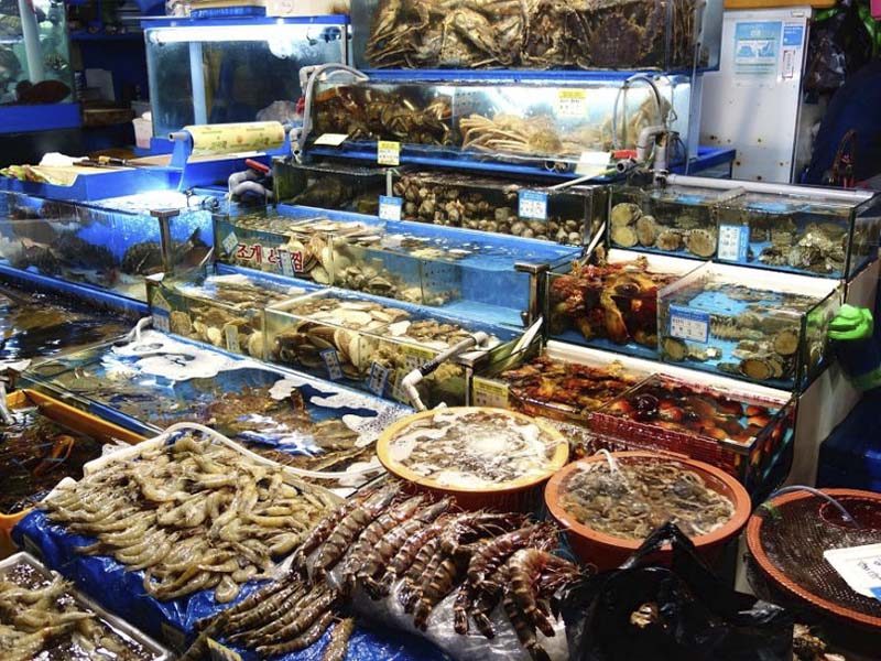 BẠN ĐÃ ĐẾN TOP 10 HẢI SẢN MÔI NÉ CỦA PHAN THIẾT - Đặc Sản Làng Chài Cổ