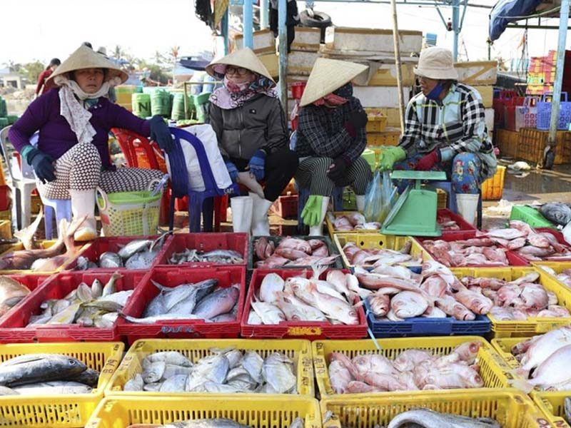 BẠN ĐÃ ĐẾN TOP 10 HẢI SẢN MÔI NÉ CỦA PHAN THIẾT - Đặc Sản Làng Chài Cổ