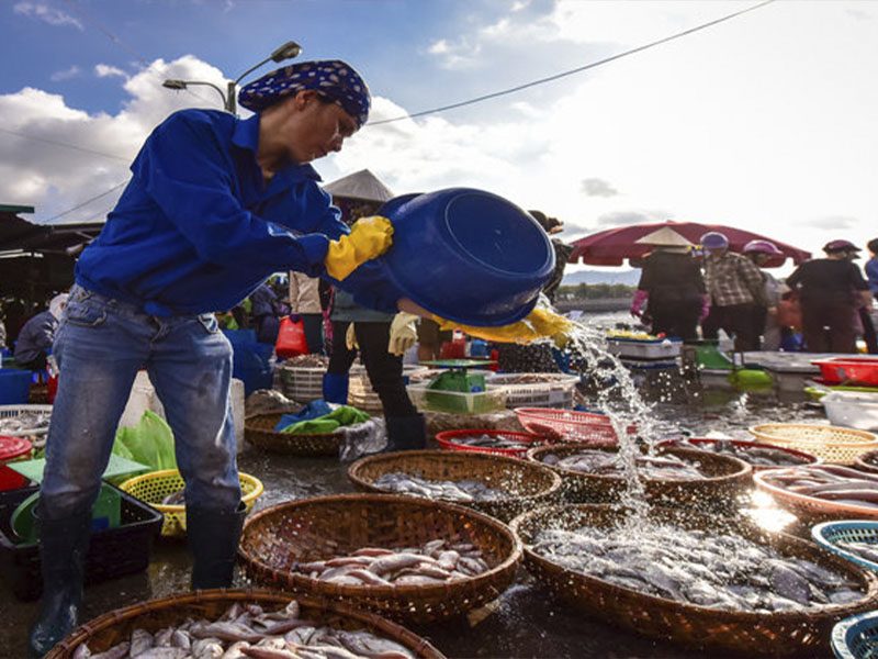BẠN ĐÃ ĐẾN TOP 10 HẢI SẢN MÔI NÉ CỦA PHAN THIẾT - Đặc Sản Làng Chài Cổ