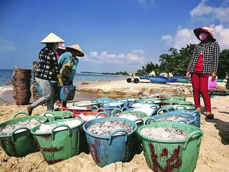 BẠN ĐÃ ĐẾN TOP 10 HẢI SẢN MÔI NÉ CỦA PHAN THIẾT - Đặc Sản Làng Chài Cổ