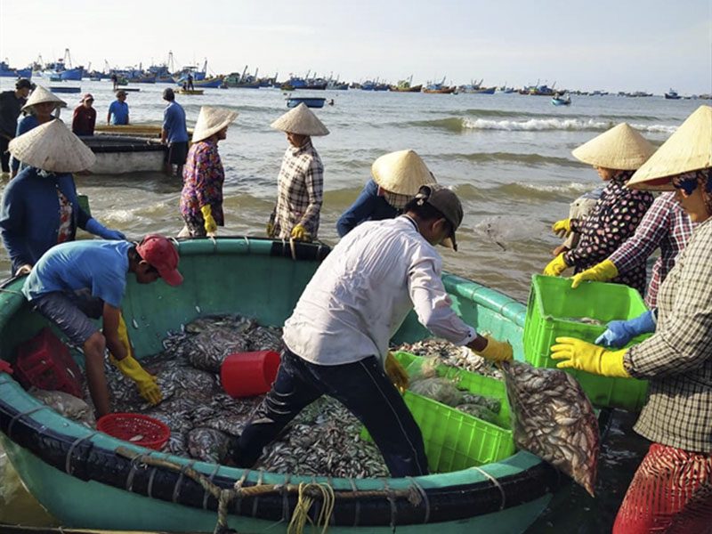 BẠN ĐÃ ĐẾN TOP 10 HẢI SẢN MÔI NÉ CỦA PHAN THIẾT - Đặc Sản Làng Chài Cổ