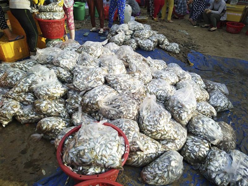 BẠN ĐÃ ĐẾN TOP 10 HẢI SẢN MÔI NÉ CỦA PHAN THIẾT - Đặc Sản Làng Chài Cổ