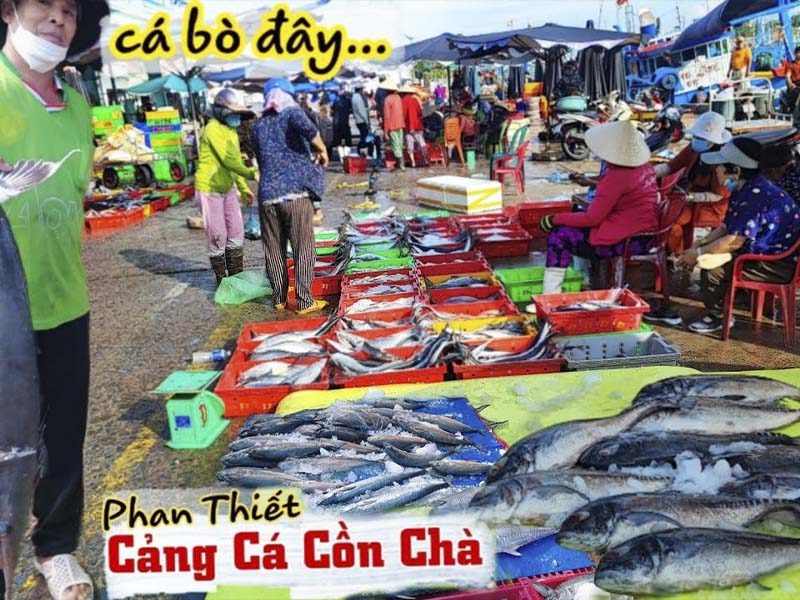BẠN ĐÃ ĐẾN TOP 10 HẢI SẢN MÔI NÉ CỦA PHAN THIẾT - Đặc Sản Làng Chài Cổ