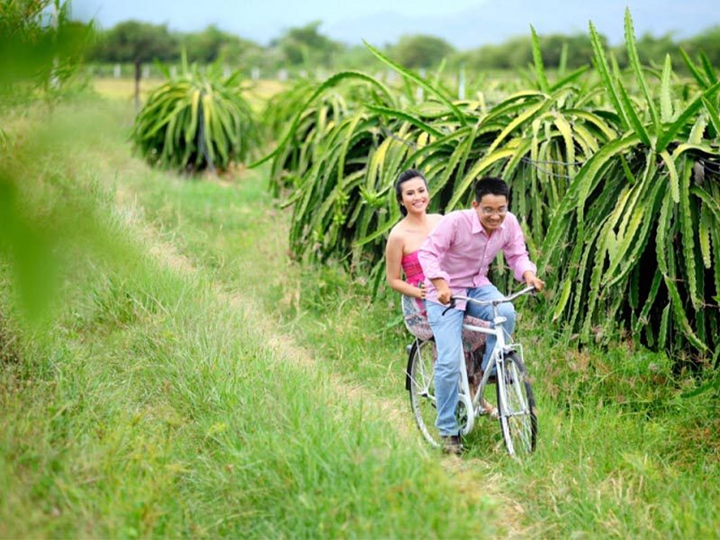 KHÁM PHÁ VƯỜN ĐẸP BÌNH THUẬN THUẬN LONG