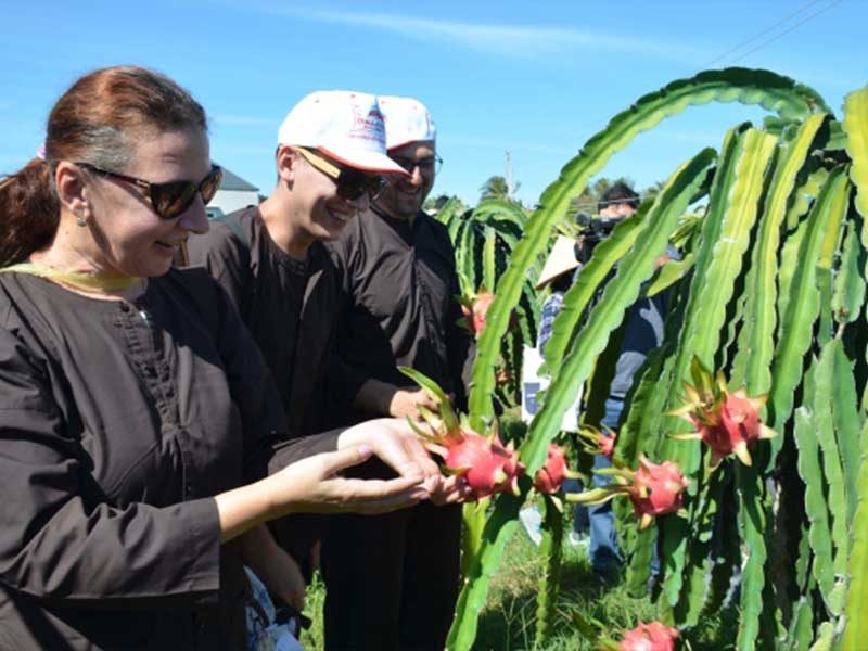 KHÁM PHÁ VƯỜN ĐẸP BÌNH THUẬN THUẬN LONG