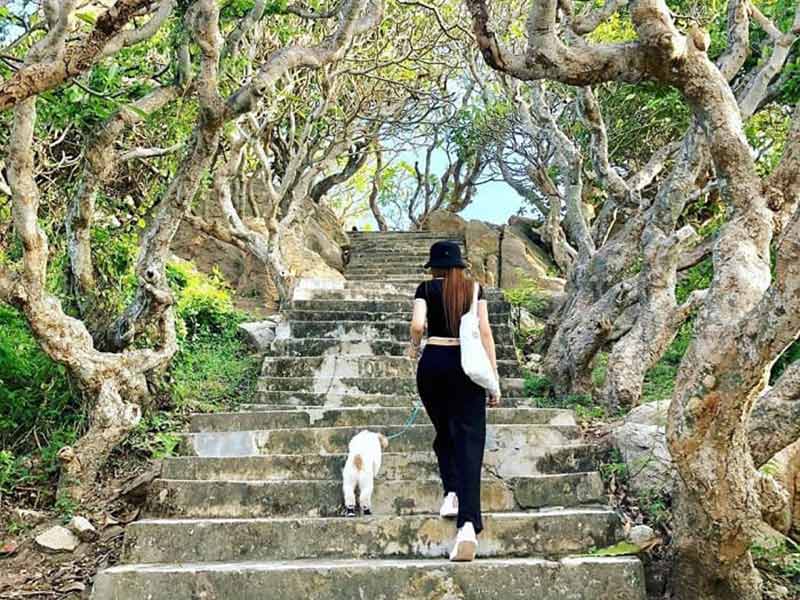 HẢI ĐÔNG CHOCKEN PHAN TRẢI NGHIỆM TẬN HƯỞNG