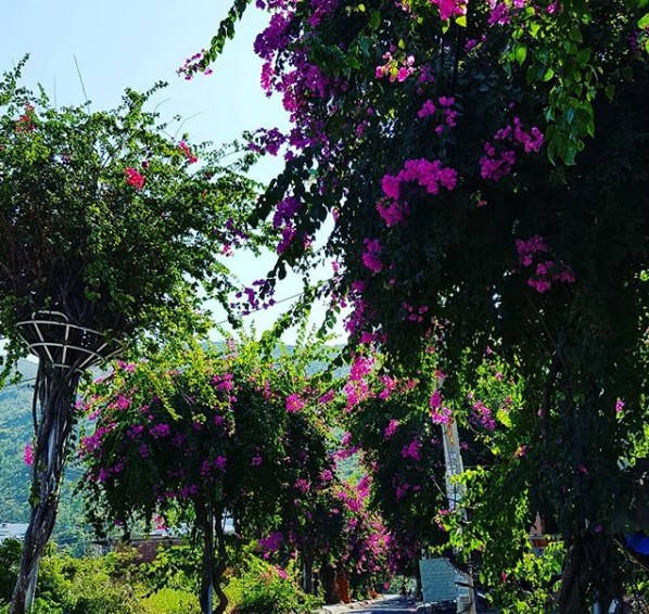 Thiên Đường Hải Sản Tươi Sống Hòn Rớ Phước Đông Nha Trang!