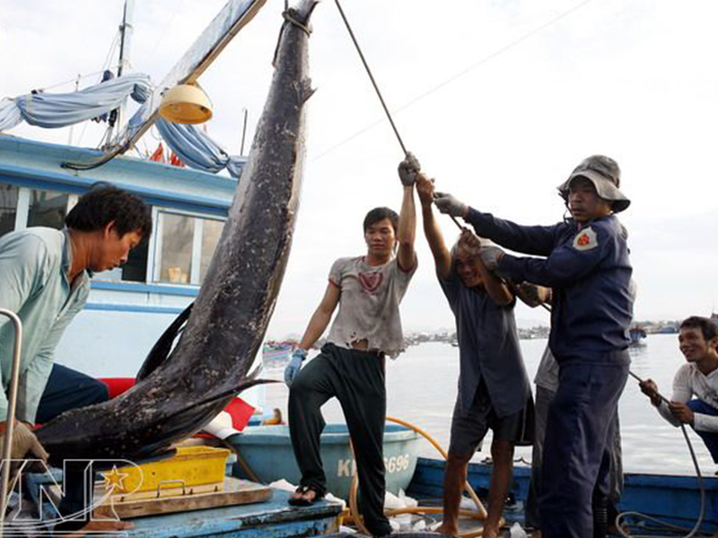 Thiên Đường Hải Sản Tươi Sống Hòn Rớ Phước Đông Nha Trang !