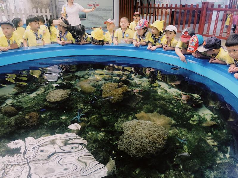 Viện Hải Dương Học Nha Trang: Kinh Nghiệm Khám Phá Từ A Đến Z