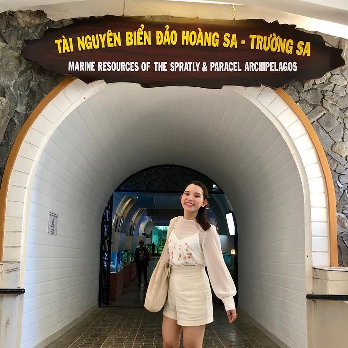 Viện Hải Dương Học Nha Trang: Kinh Nghiệm Khám Phá Từ A Đến Z