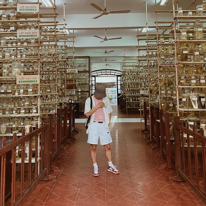 Viện Hải Dương Học Nha Trang: Kinh Nghiệm Khám Phá Từ A Đến Z