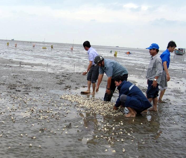 Review Du Lịch Biển Đồng Châu Thái Bình Ở Đâu Như Thế Nào Từ A-Z 2022 16 Review Du Lịch Bãi Biển Đồng Châu Thái Bình, Ở Đâu, Đường Đi, Có Gì Từ A-Z 2022 - Review Kinh Nghiệm Du Lịch Tham Quan Đi Phượt Việt Nam