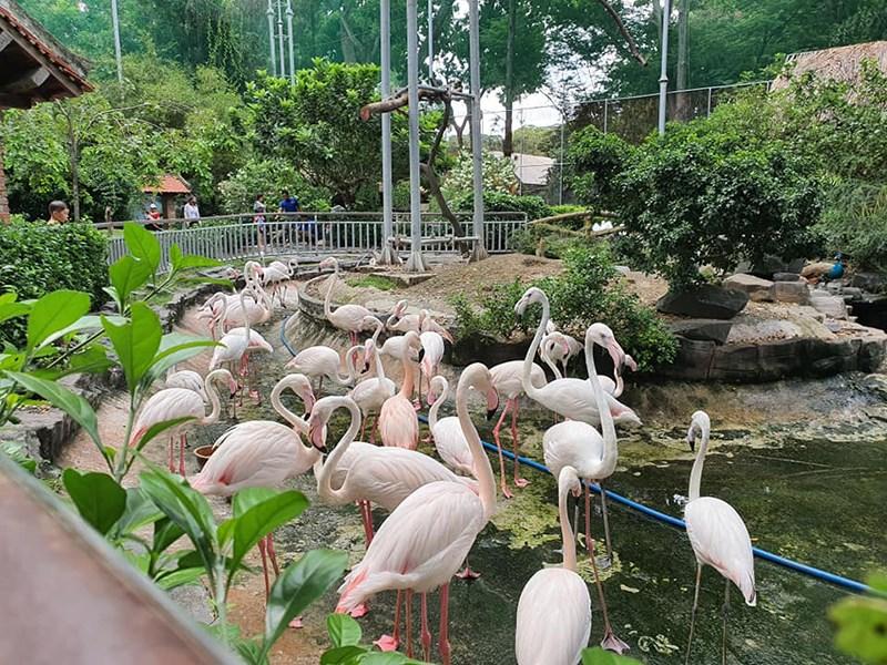 Review Tham Quan Thảo Cầm Viên Sài Gòn, Ở Đâu, Giá Cả, Gồm Những Gì? 2022 22 Review Tham Quan Vườn Thú Thảo Cầm Viên Sài Gòn, Ở Đâu, Giá Vé, Có Gì? 2022 - Review Kinh Nghiệm Du Lịch Tham Quan Đi Phượt Việt Nam