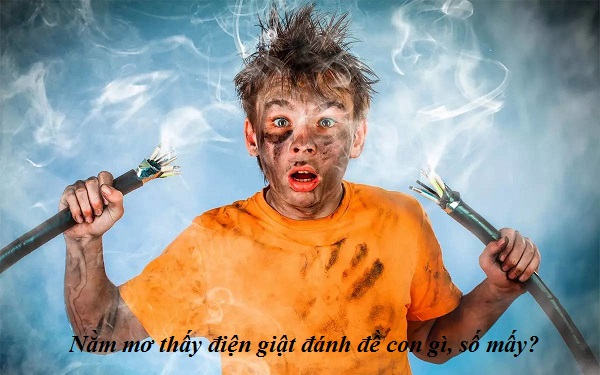 Nằm mơ thấy điện giật đánh đề con gì, số mấy? - Diembaoaz.com