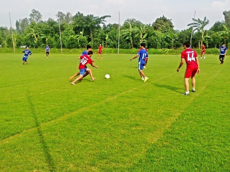 Độ giữ bóng của cỏ tự nhiên tốt hơn cỏ nhân tạo