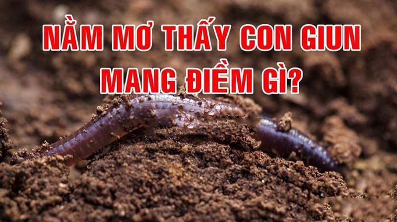 Mơ Thấy Giun Sán, Giun Đất Là Điềm Gì ? Đánh Con Gì