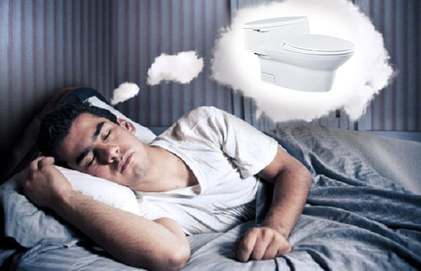 Mơ thấy bồn cầu đánh con gì ? Những điềm báo Cần Biết - Thông Tắc Khánh Trung