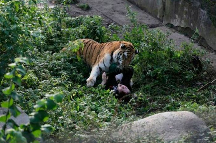 Nếu nằm mơ thấy mình chết nên đặt cược vào con số nào để nhanh chóng vào bờ? - Marshall.Com