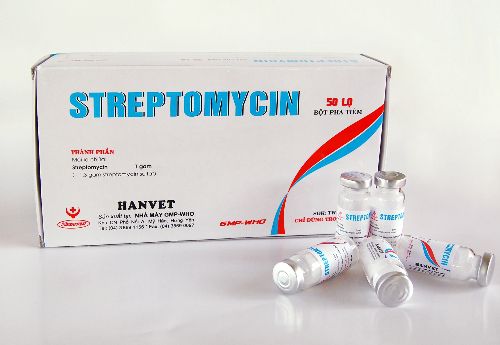 Cách trị gà khò khè có đờm lâu ngày không hết