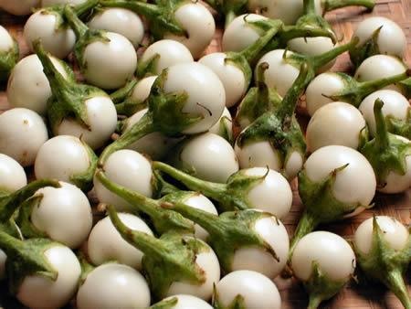 Những điều bạn chưa biết về cà tím