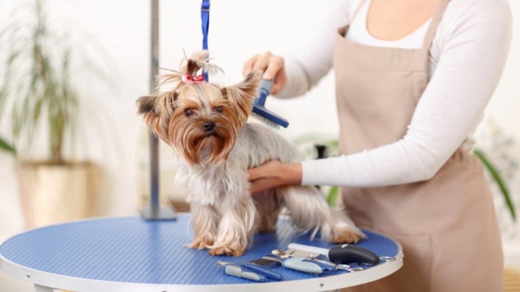 Với số vốn 200 triệu, kinh doanh gì hiệu quả và thu hồi vốn nhanh?