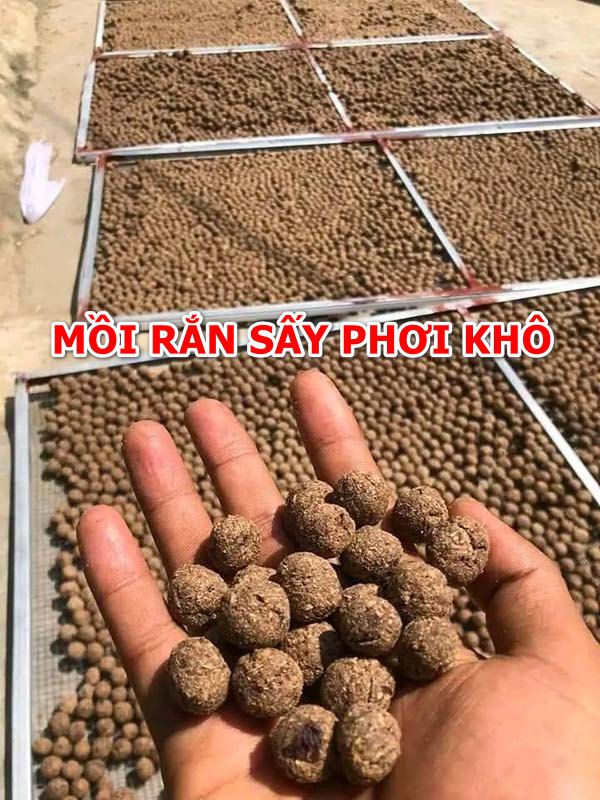 Cách làm mồi rắn cho gà đá cực béo