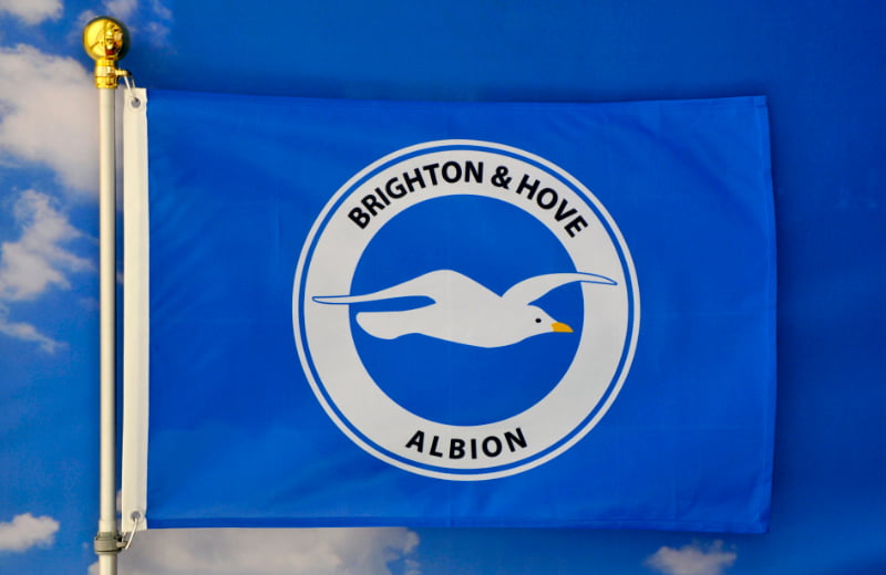 Brighton Hove Albion – Tiểu sử, tựa đề quá khứ của 'The Seagull'