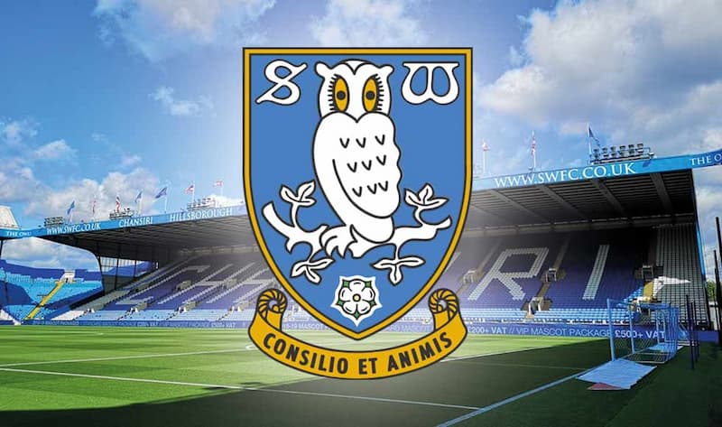 Sheffield Wednesday: Lịch sử và thành tích nổi bật của Cú Anh