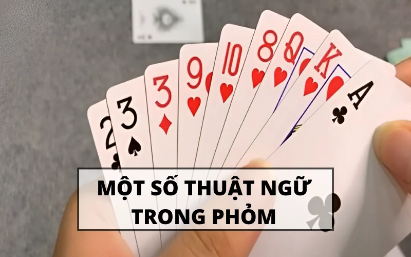 hitclub 5 Cách chơi Phỏm trên Hit Club dễ thắng cho người mới bắt đầu