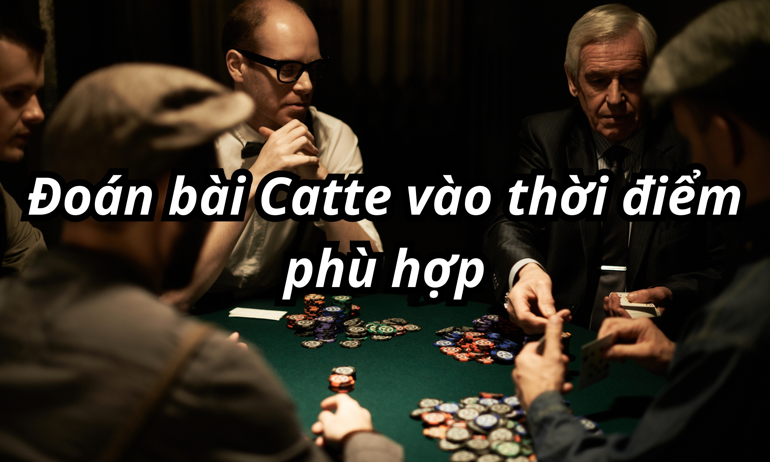 Cách đoán nước bài Catte chuẩn chỉnh từ cao thủ lão luyện
