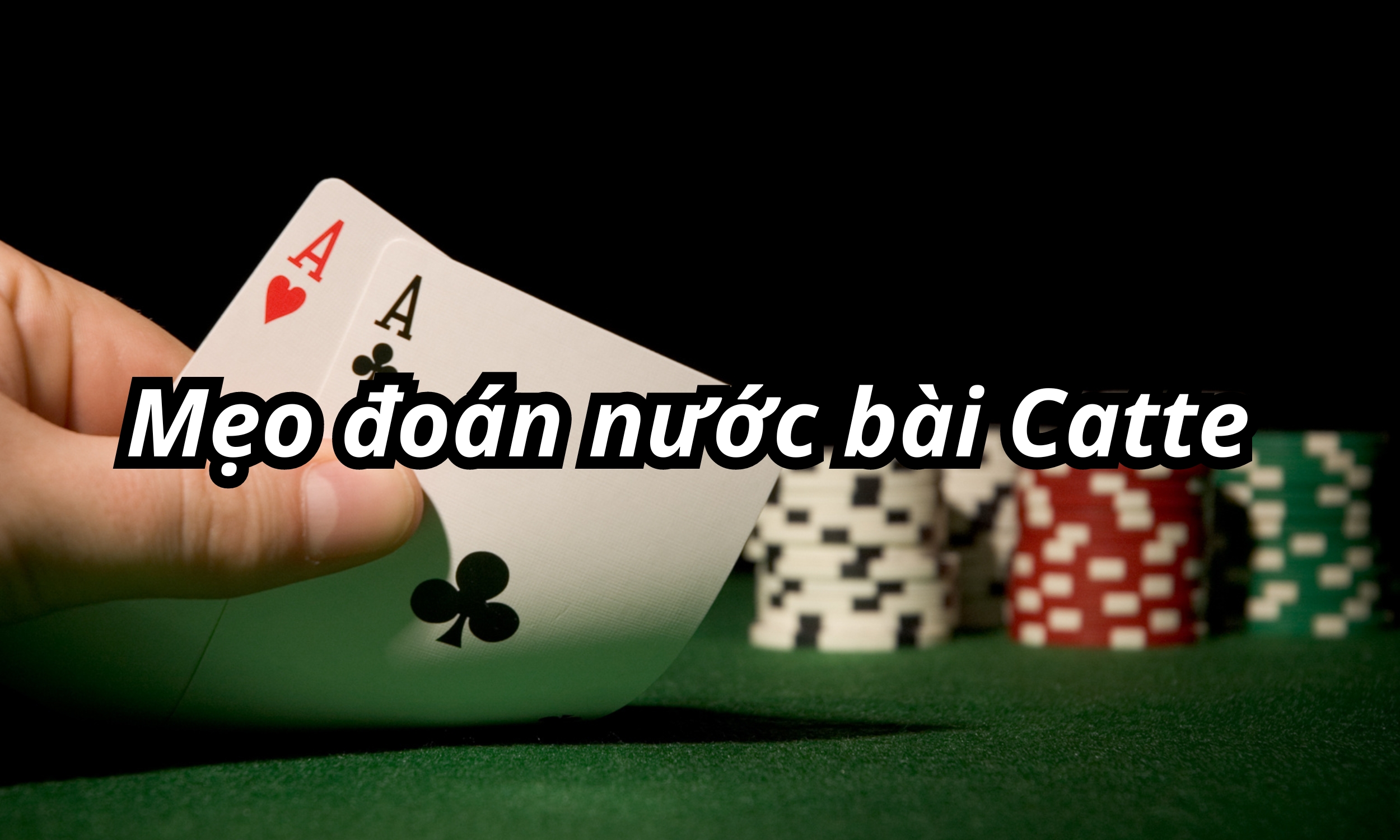 Cách đoán nước bài Catte chuẩn chỉnh từ cao thủ lão luyện