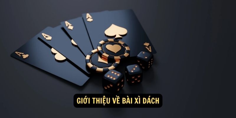 Xì dách là gì? - Đấu trường trí tuệ và may mắn