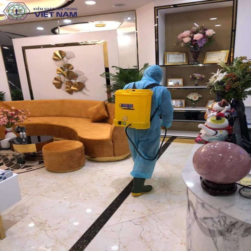 Các bước diệt muỗi tại Vietnam Pest Control