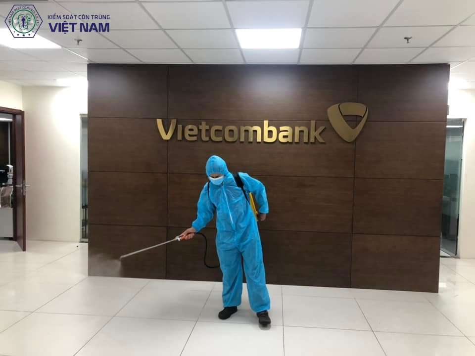 Dịch vụ phun muỗi