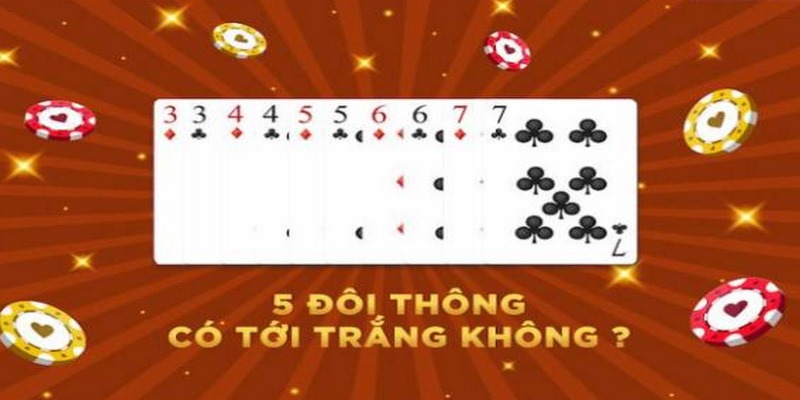 5 Đôi Thông Và Những Nội Dung Thú Vị Mà Bạn Cần Biết